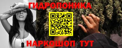 прущие грибы Мариинск