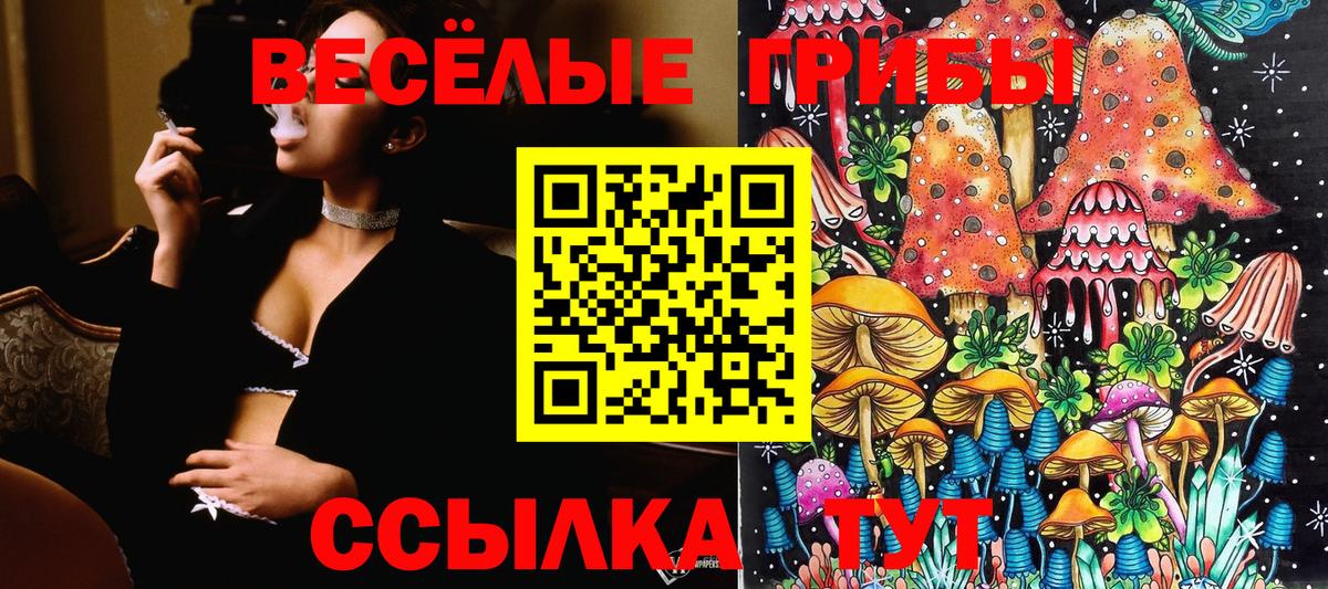 Будённовск  Псилоцибиновые грибы Magic Shrooms  Псилоцибиновые грибы Magic Shrooms  Вход с VPN 